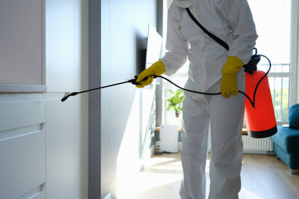 Best Professional Mold Removal  in Nazareth College, NY
